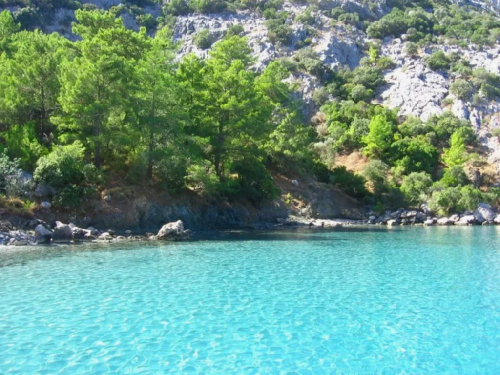 Anasayfa 16 Ceneviz Koyu